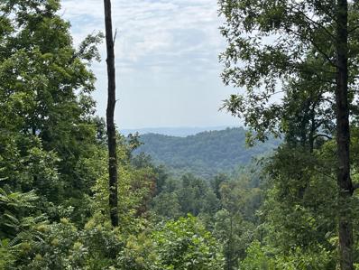 Off Van Hill Road, Greeneville, TN 37745 - MLS#: 9955697