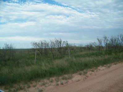 0 Gold Rd (X2 40 Acre Tracts), Valle de Oro, TX 79010 - #: 22-7971
