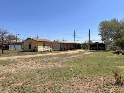 507 SW 3rd Street, Dimmitt, TX 79027 - #: 24-3320