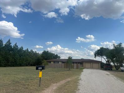 1442 Us Hwy 70, Earth, TX 79031 - #: 24-6036