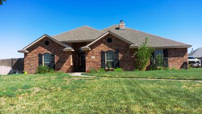 8301 Irvington Court, Amarillo, TX 79119 - #: 24-8348