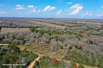 Sycamore Branch Road, Normangee, TX 77871 - #: 24004970