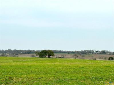 Tract 9 County Road 356 Unit Tract 9, Gatesville, TX 76528 - #: 548214