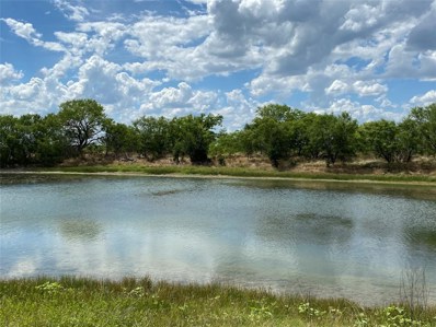 5400 County Road 381, Early, TX 76802 - #: 14373234
