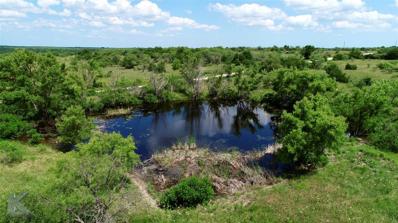 Tbd County Road 421, Coleman, TX 76834 - #: 20430975