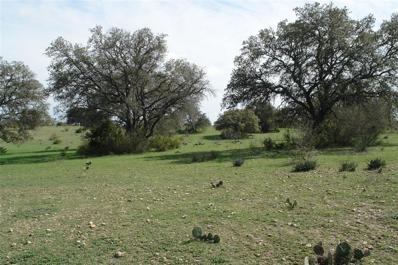 Tbd Fm 573, Goldthwaite, TX 76864 - #: 20557033