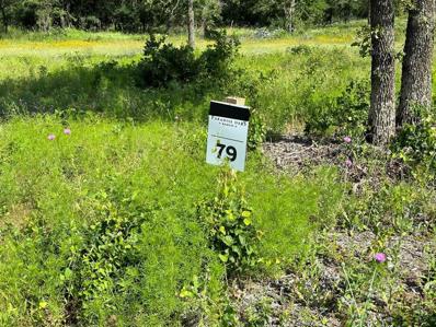 Lot 79 Paradise Oaks, Perrin, TX 76486 - #: 20618004