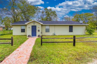 141 E McKinney Avenue, Cooper, TX 75432 - #: 20713317