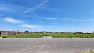 Find lots and land for sale in Elsa TX