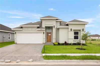 1009 Magnolia Street, Mission, TX 78573 - #: 436474