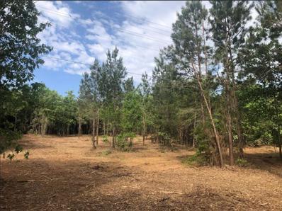 Lot 1 Cr-338, Nacogdoches, TX 75961 - #: 14978011