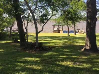 536 Dove Island, Livingston, TX 77351 - MLS#: 55302845