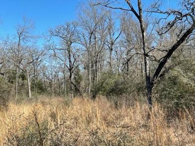 Tbd County Road 317, Centerville, TX 75833 - #: 96298124