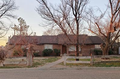 N 22nd Place, Lamesa, TX 79331 - #: 202401445