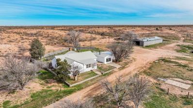 330 County Rd 143, Loop, TX 79342 - #: 154765