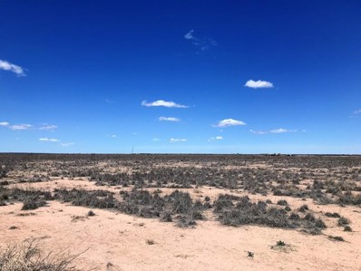 Tbd County Rd 132, Pecos, TX 79772 - MLS#: 50037651