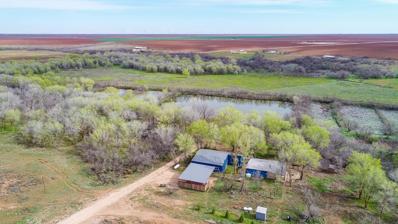 1671 County Rd 29, Lamesa, TX 79331 - #: 50071961