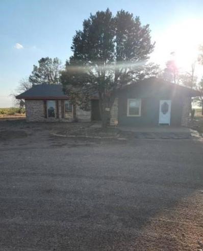 3267 State Hwy 137, Lenorah, TX 79749 - #: 50075078