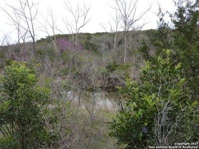 17032 Scenic Loop Road, Helotes, TX 78023 - #: 1227537