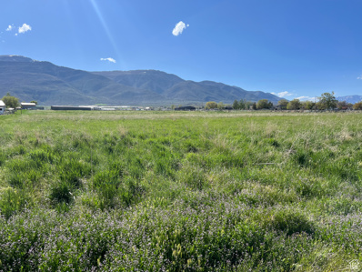 1 HWY 132, Fountain Green, UT 84632 - MLS#: 1976976