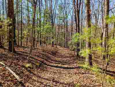 TBD Pres Jackson Road, Max Meadows, VA 24360 - MLS#: 420782