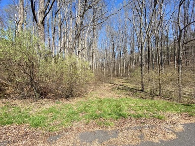 Tbd Cartersville Heights, Max Meadows, VA 24360 - MLS#: 421071