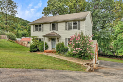 853 RAY St, Roanoke, VA 24019 - #: 901307