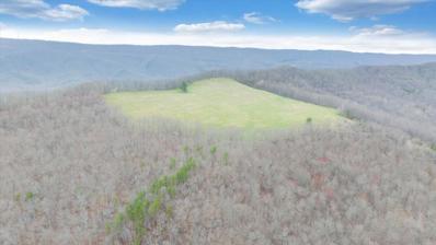 0 CLEAR FORK CREEK Rd, Bastian, VA 24314 - #: 910893