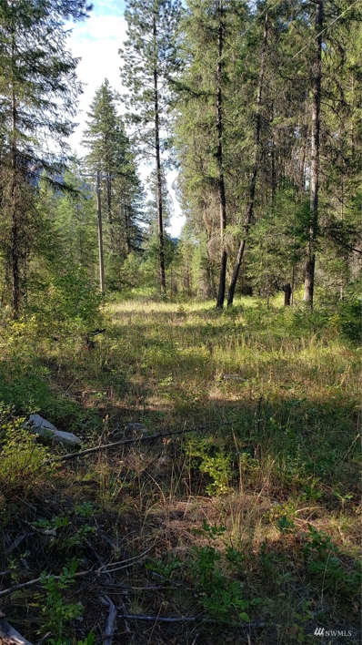 Hwy 395 N, Orient, WA 99160 - MLS#: 1987028