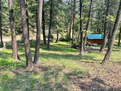 4 Emerson Road, Mazama, WA 98833 - #: 2070854