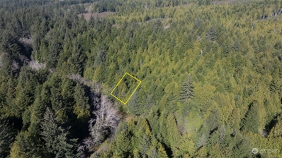 0 Seaward Drive, Taholah, WA 98587 - #: 2212507