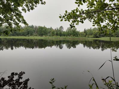 Lot 3 Misty River Lane, Rhinelander, WI 54501 - MLS#: WIREX_CWBR22233546