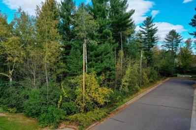 +\/-.58 Acres Pine Street, Medford, WI 54451 - #: WIREX_CWBR22234708