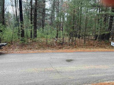 Lot 32 Silver Shore Lane, Saint Germain, WI 54558 - #: WIREX_CWBR22235632