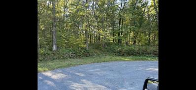 Lot 4 FOREST DRIVE, Amherst Junction, WI 54406 - #: WIREX_CWBR22405247