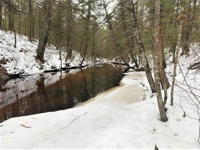 0 Lot 1 Old County I, Black River Falls, WI 54615 - #: WIREX_NWW1561917