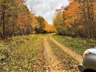 0 Lot 1 Lien Road, Hixton, WI 54635 - MLS#: WIREX_NWW1569885