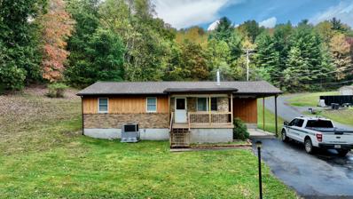 597 Pluto Rd, Shady Spring, WV 25918 - MLS#: 24-1183