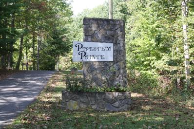 Pipestem Pointe Linkwood Lane, Pipestem, WV 25979 - #: 24-1220