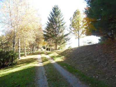 1721 Potomac Highland Trail, Dunmore, WV 24934 - #: 24-4