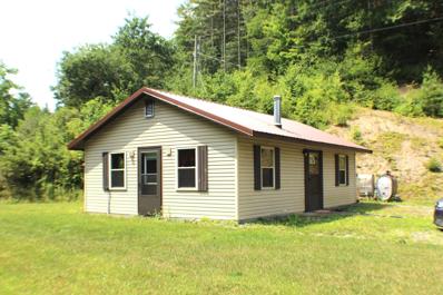 3759 Potomac Highlands Trl, Green Bank, WV 24944 - #: 24-976