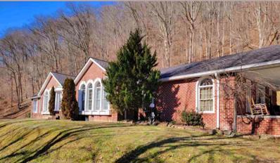 959 Rt 52, Delbarton, WV 25670 - #: 179497