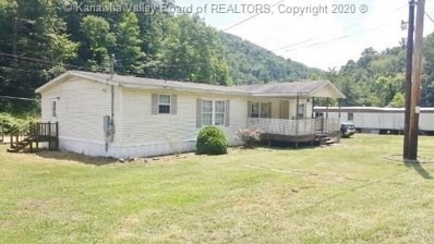 1280 Route 65, Red Jacket, WV 25692 - #: 243578