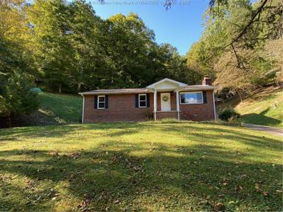 852 Trace Fork Road, Chapmanville, WV 25508 - #: 258167