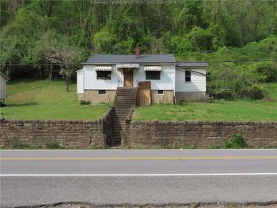 449 Route 65, Williamson, WV 25661 - MLS#: 263778