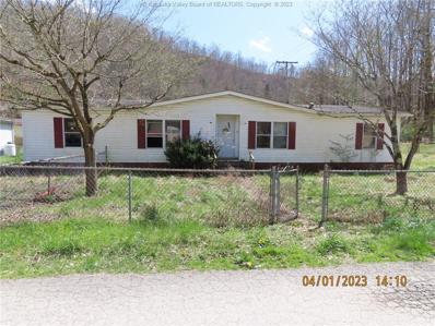 22 Pluto Street, Van, WV 25206 - #: 263795