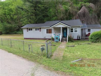 191 Litton Hollow, Chattaroy, WV 25667 - MLS#: 264147