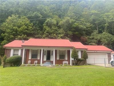 111 Spicewood Branch Road, Williamson, WV 25661 - #: 264682