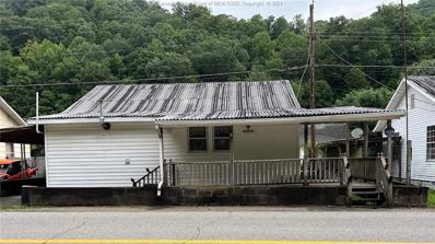 454 Copperas Fork Road, Holden, WV 25625 - #: 265098