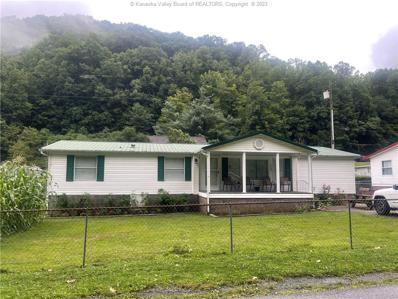 1005 Accoville Hollow Road, Accoville, WV 25606 - #: 266388